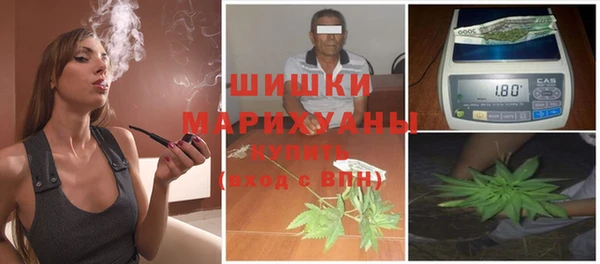 тгк Бронницы