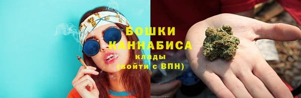 трава Бородино