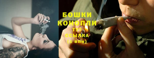 трава Бородино