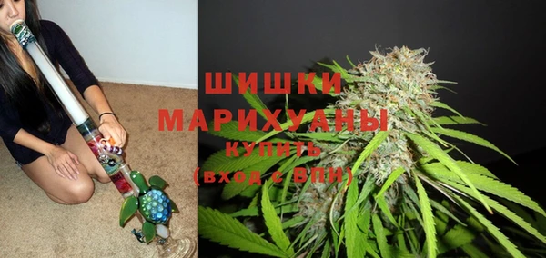 трава Бородино
