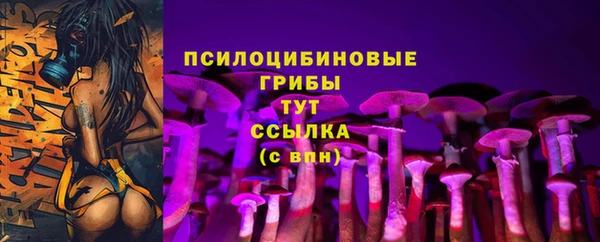 прущие грибы Богданович